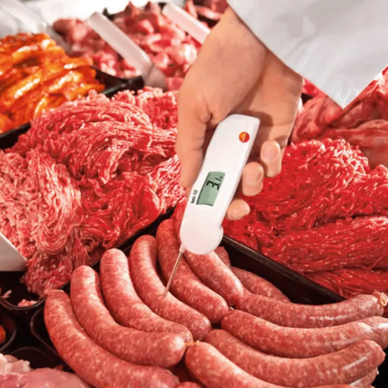 TERMOMETRO CON SONDA REPLEGABLE TESTO 103