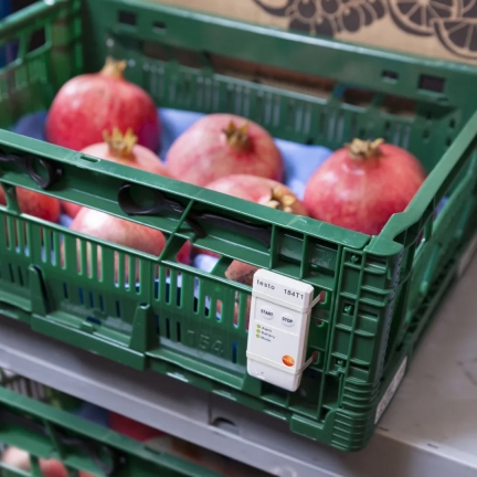 Monitor de temperatura para medios de transporte TESTO 184 T1