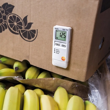 Monitor de temperatura para medios de transporte TESTO 184 T3